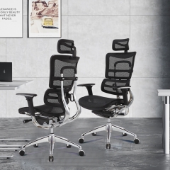 Ergonomic Office Chair