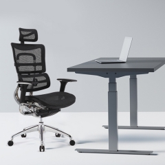 Ergonomic Office Chair