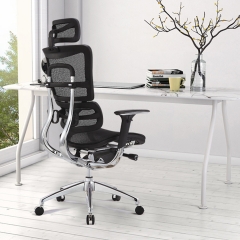 Ergonomic Office Chair