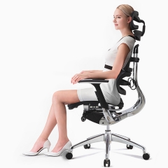 Ergonomic Office Chair