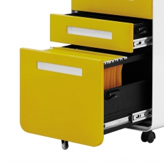 File Storage Cabinet