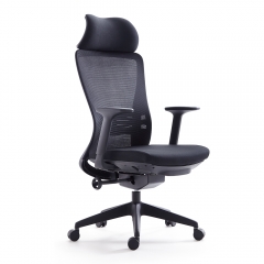 Ergo Mesh Office Chair