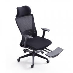 Ergo Mesh Office Chair