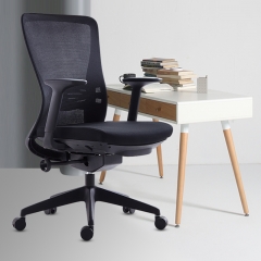 Ergo Mesh Office Chair