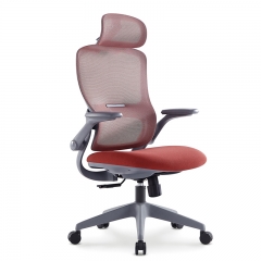 Mesh Ergonomic Office Chair