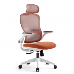 Mesh Ergonomic Office Chair