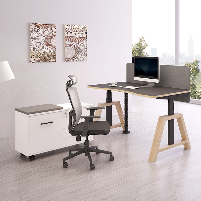 ergonomic chair and standing desk