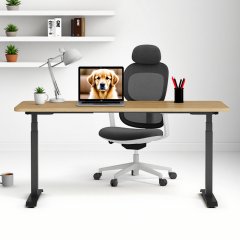 SENDI Electric Standing Desk