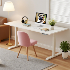 SENDI Electric Standing Desk