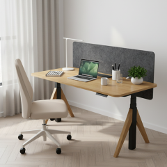SENDI Electric Standing Desk With Screen