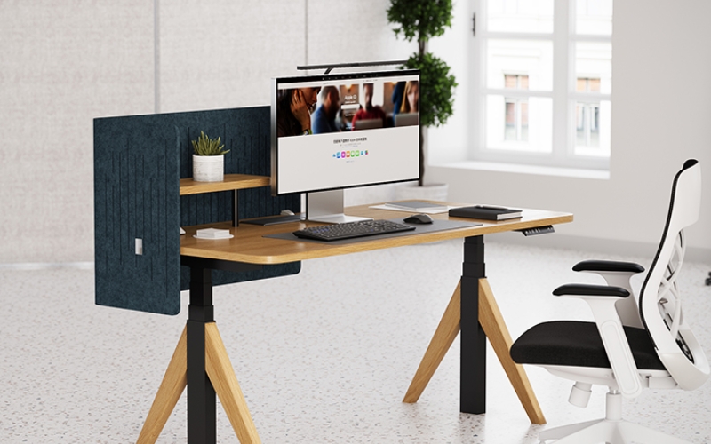 Standing Adjustable Desk