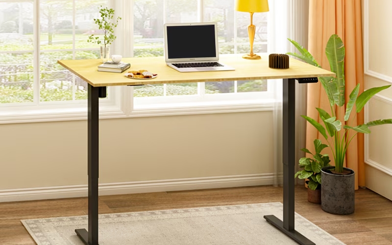 Best adjustable standing desk Flexispot E2 budget