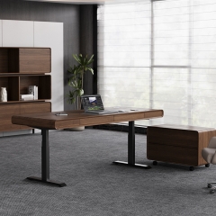 SENDI Series E Modern Standing Desk